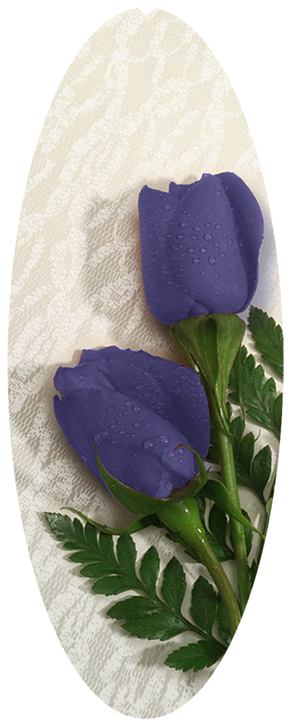 DNSA18-055 2 Roses Purple